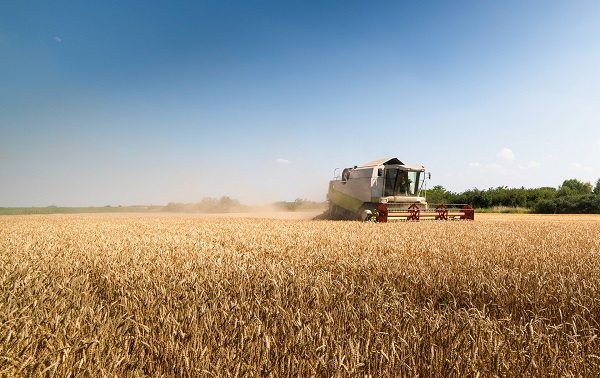 Crédit Agricole : Une Carte, Plusieurs Avantages